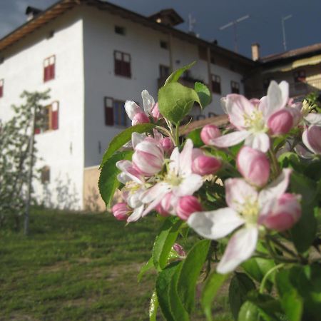 Villa Agritur Maso San Bartolomeo Romeno Exterior foto