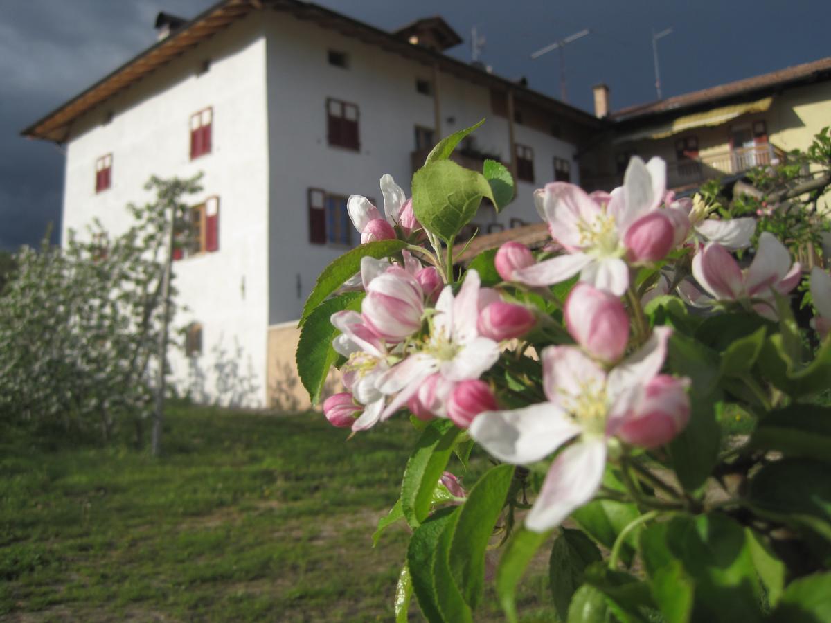 Villa Agritur Maso San Bartolomeo Romeno Exterior foto